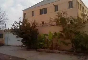 مصنع للإيجار