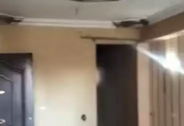 Apartments For rent - 3 rooms - floor 1