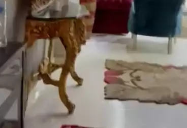 undefined undefined - 3 rooms - floor 8