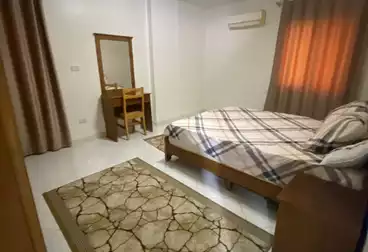 شقق للإيجار