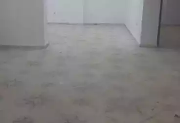 عقارات للإيجار - 6 غرف - بالدور 0