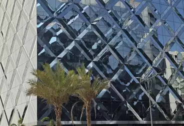 عقارات للإيجار - 8 غرف - بالدور 5