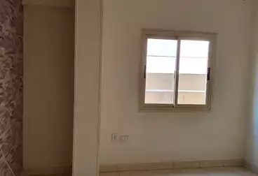عقارات للإيجار - 3 غرف - بالدور 0