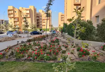 Penthouse For sale - 3 rooms - floor 5