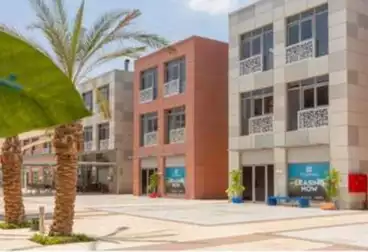 Administrative For sale - 12 rooms