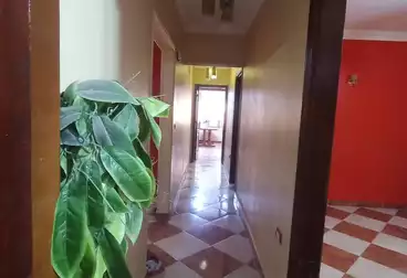 شقق للإيجار - 3 غرف - بالدور 5