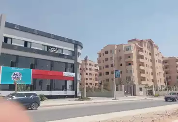 شقق مفروشة للإيجار - 2 غرف - بالدور 6