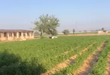 عقارات للبيع