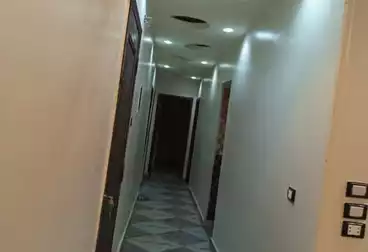 شقق للبيع - 3 غرف - بالدور 2