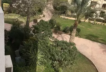 عقارات للإيجار - 3 غرف - بالدور 2