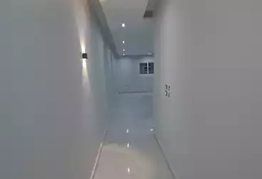 شقق للبيع - 3 غرف - بالدور 7