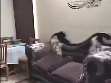 عقارات للبيع - 3 غرف - بالدور 7