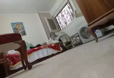 undefined undefined - 3 rooms - floor 1