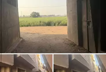 Residential Land For sale - 2 rooms