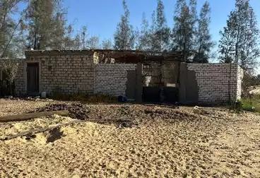 Farm For sale