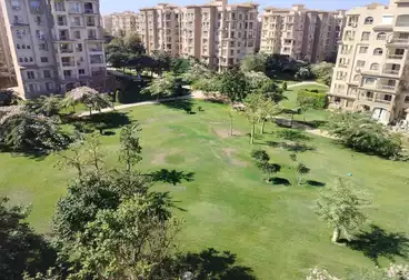 Apartments For rent - 3 rooms - floor 5