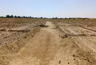 عقارات للبيع