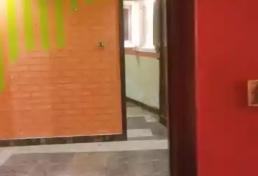 شقق للبيع - 2 غرف - بالدور 1