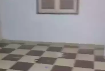 Apartments For rent - 3 rooms - floor 2