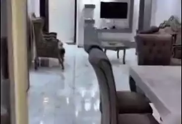 Apartments For sale - 3 rooms - floor 3