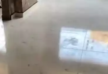 Apartments For sale - 3 rooms - floor 12