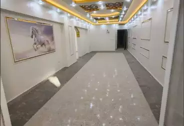 Apartments For sale - 3 rooms - floor 1