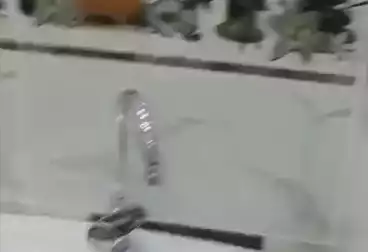 Apartments For rent - 3 rooms - floor 2