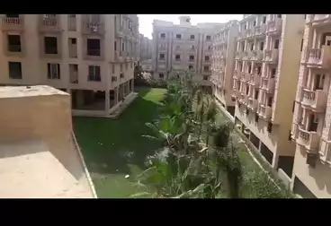 شقق للبيع - 2 غرف - بالدور 1