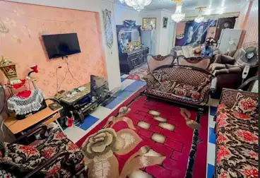 شقق للبيع - 3 غرف - بالدور 6