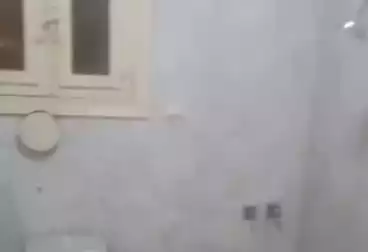 Apartments For rent - 3 rooms - floor 2