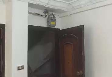 شقق للبيع - 2 غرف - بالدور 1