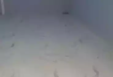 undefined undefined - بالدور 0