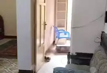 شقق للبيع - 2 غرف - بالدور 1