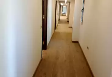 عقارات للإيجار - 12 غرف - بالدور 1