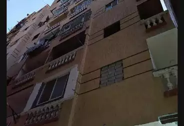 شقق للبيع - 3 غرف - بالدور 7