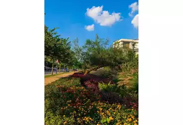 undefined undefined - 3 rooms - floor 1