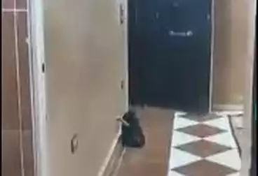 Apartments For sale - 2 rooms - floor 1