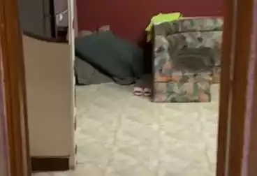 undefined undefined - 2 rooms - floor 2