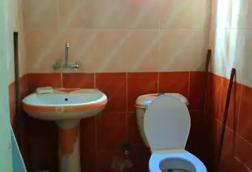 Furnished Apartment For rent - 2 rooms - floor 3