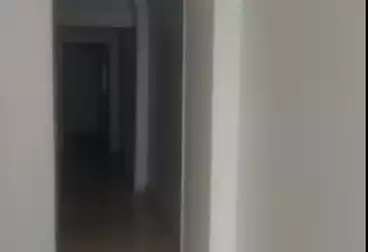 Properties For rent - 3 rooms - floor 1