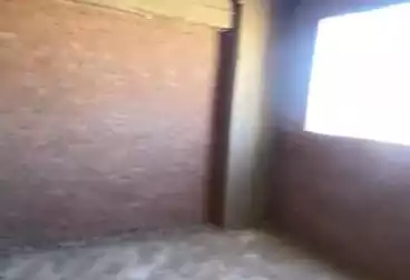 شقق للبيع - 3 غرف - بالدور 13