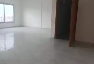 عقارات للإيجار - 5 غرف - بالدور 4