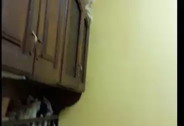 شقق للبيع - 3 غرف - بالدور 3