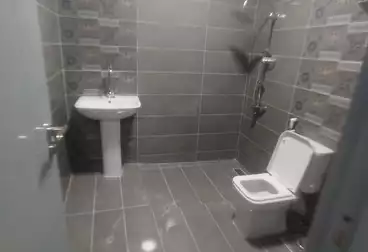 Apartments For rent - 3 rooms - floor 0