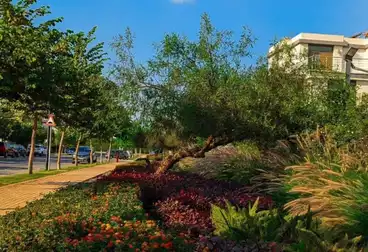 undefined undefined - 2 rooms - floor 4