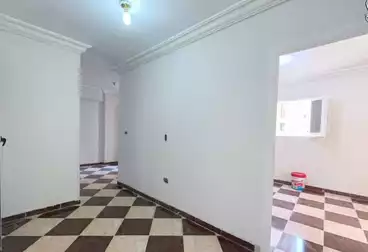 شقق للبيع - 3 غرف - بالدور 7