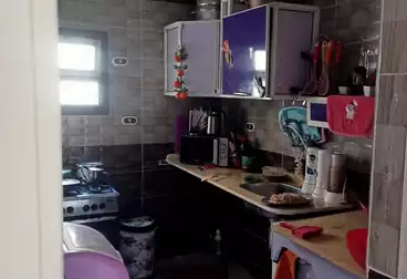 شقق للبيع - 3 غرف - بالدور 10