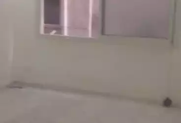 Apartments For sale - 3 rooms - floor 7