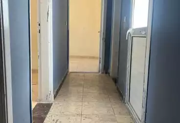 شقق للبيع - 3 غرف - بالدور 6