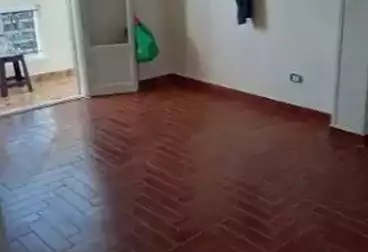 Apartments For rent - 2 rooms - floor 5